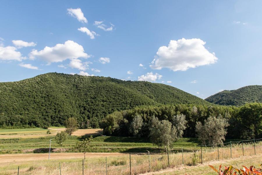 Il Colombaio Agriturismo Montegabbione Екстер'єр фото