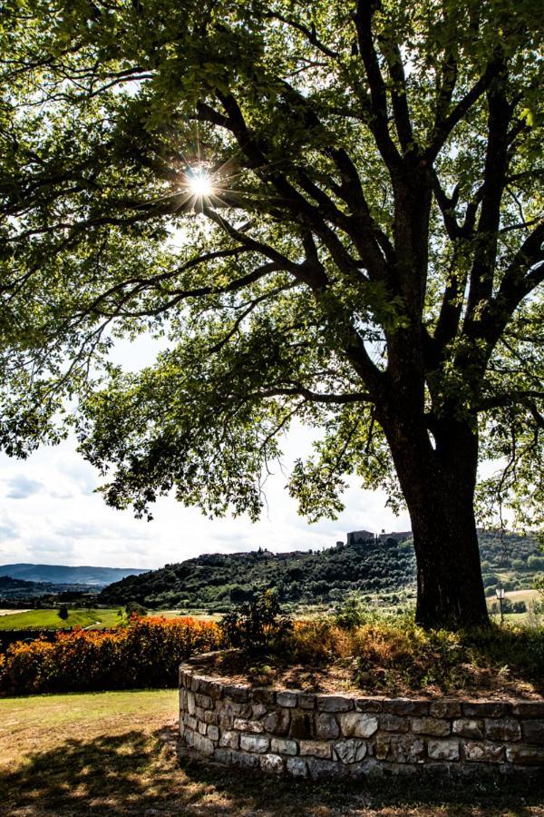 Il Colombaio Agriturismo Montegabbione Екстер'єр фото
